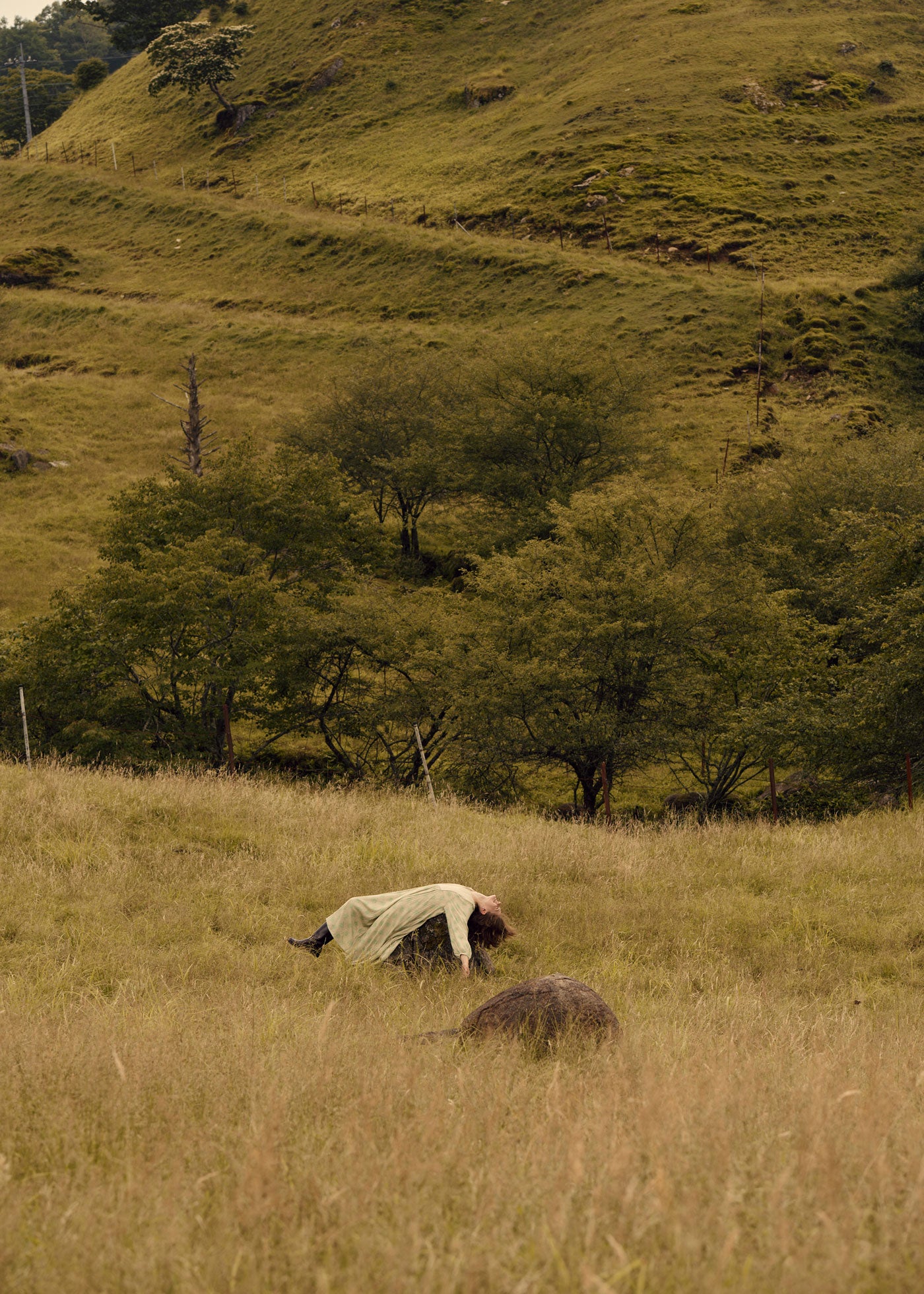Shantoon Jacquard Poppy Print Yoke Dress