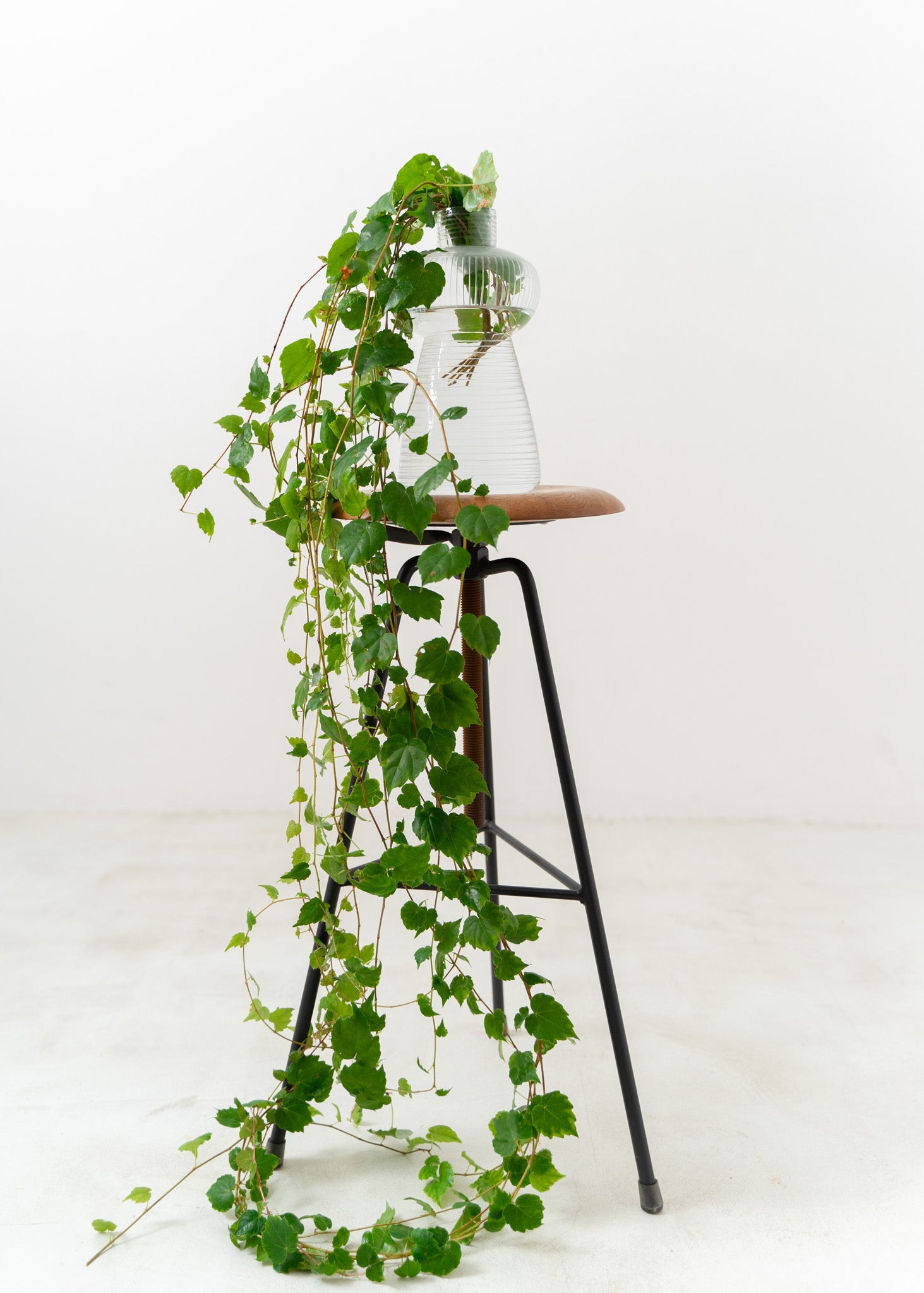 Flower Vase