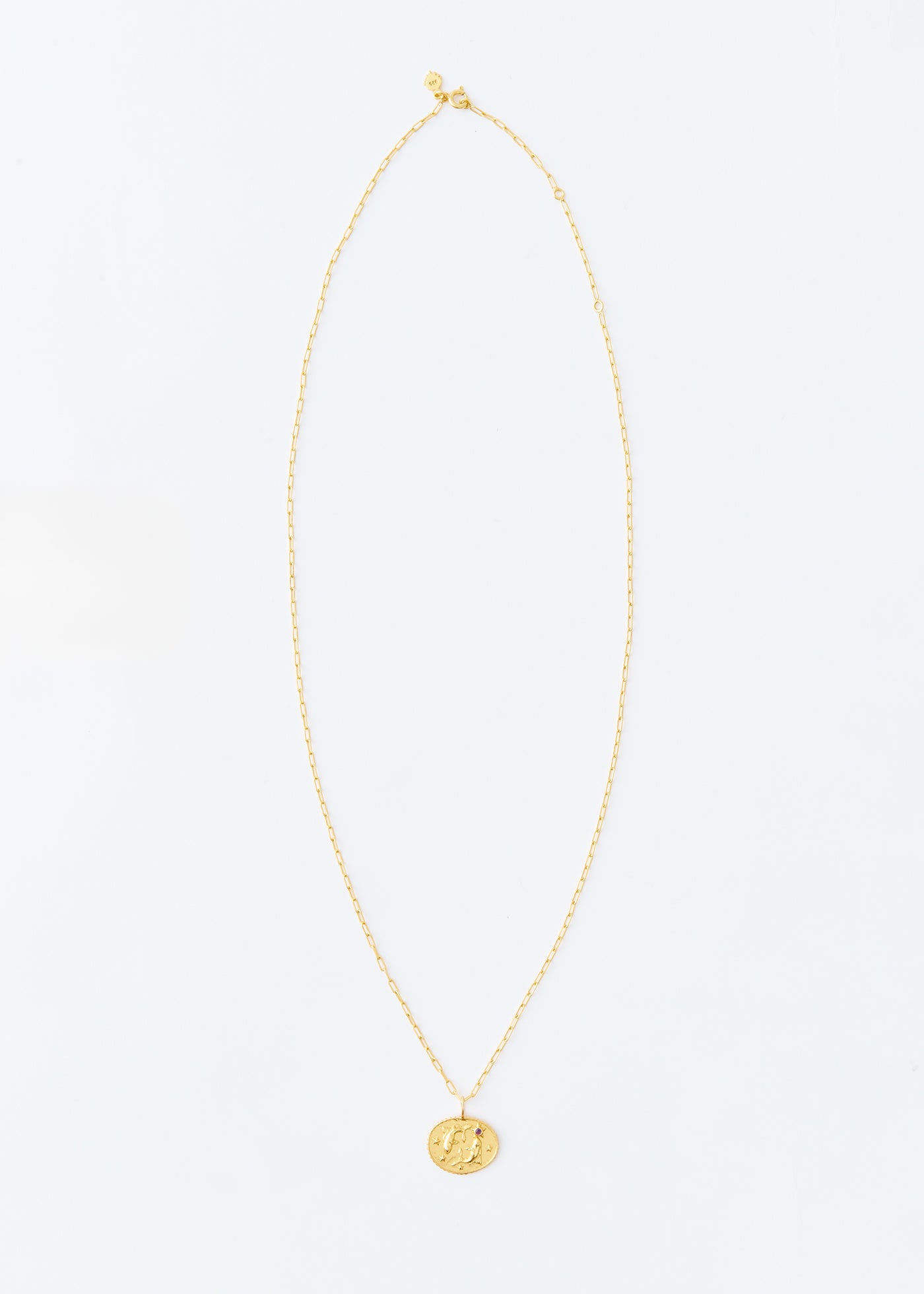 Astro Sign Plate Necklace PISCES - 魚座 -