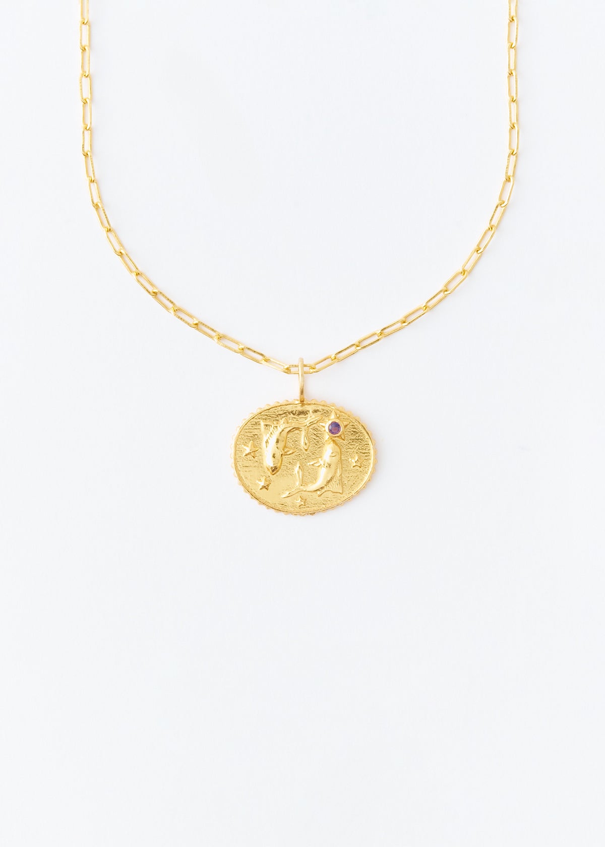 Astro Sign Plate Necklace PISCES - 魚座 - | Pasand by ne Quittez 