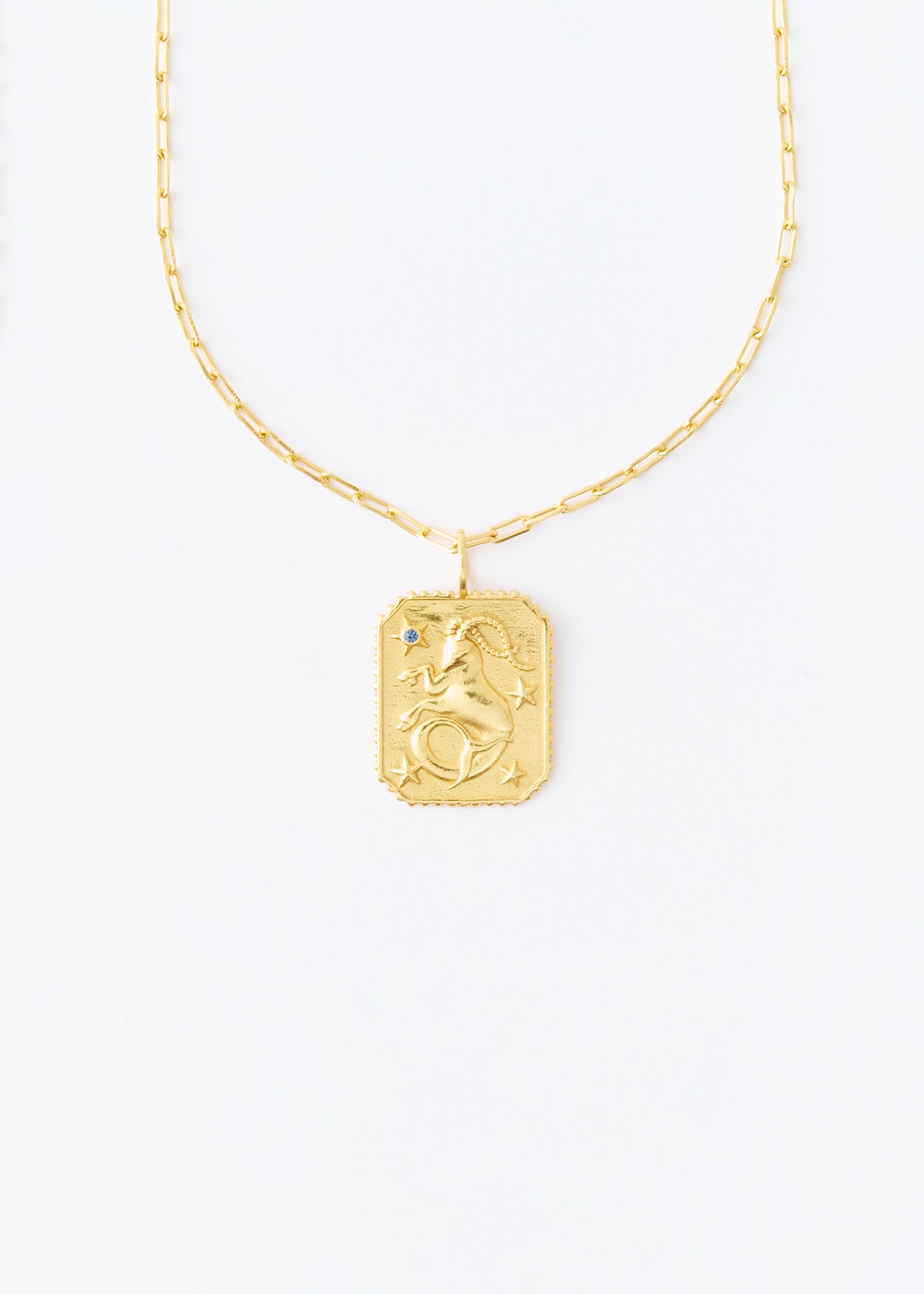 【12/10 10時発売】Astro Sign Plate Necklace CAPRICORN - 山羊座 -