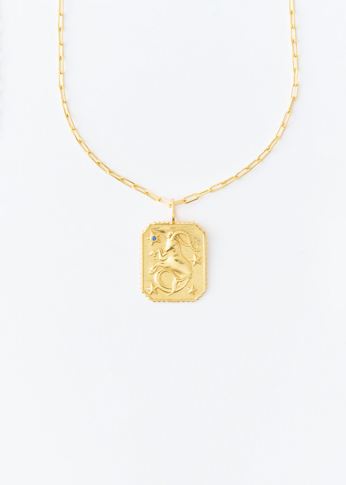 Astro Sign Plate Necklace CAPRICORN - 山羊座 - | Pasand by ne 