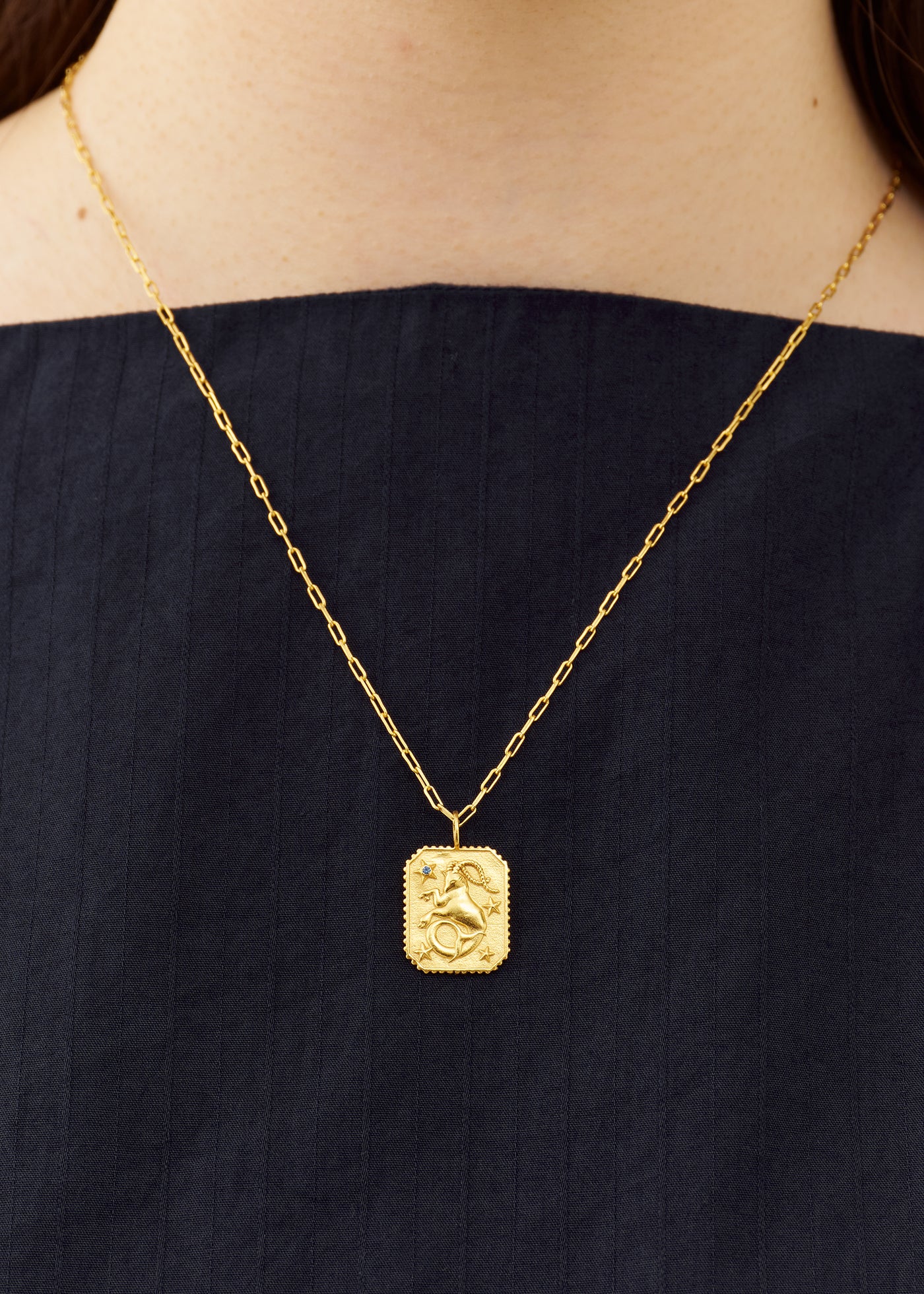 【12/10 10時発売】Astro Sign Plate Necklace CAPRICORN - 山羊座 -