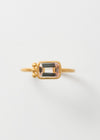 Bicolor Tourmaline and Gold Bead Ring