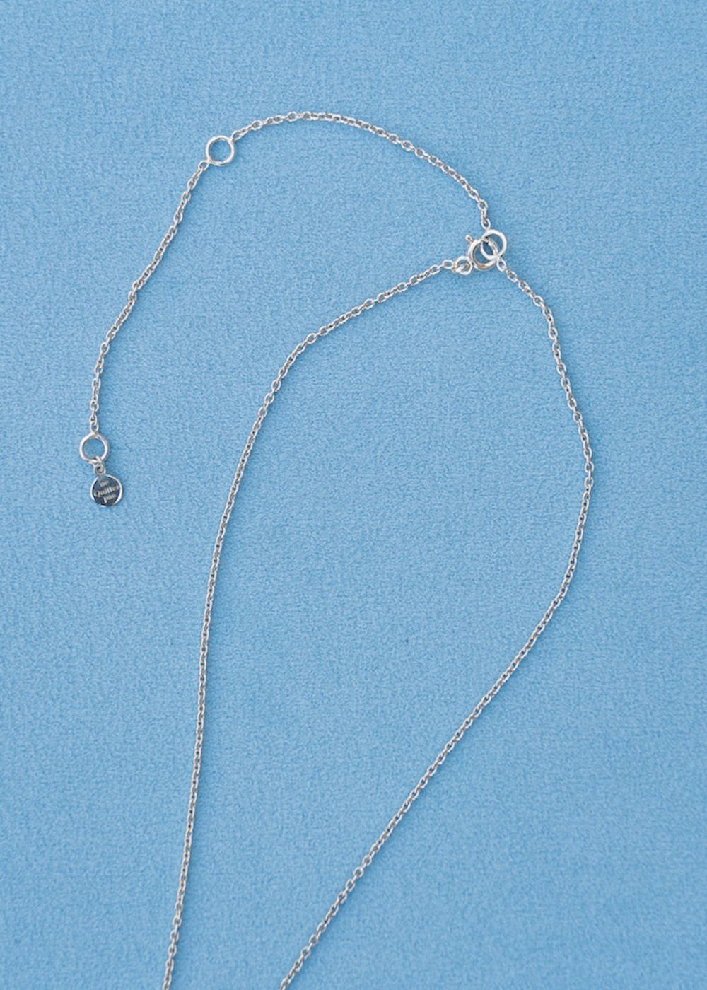 Faceted Drop Charm Long Necklace