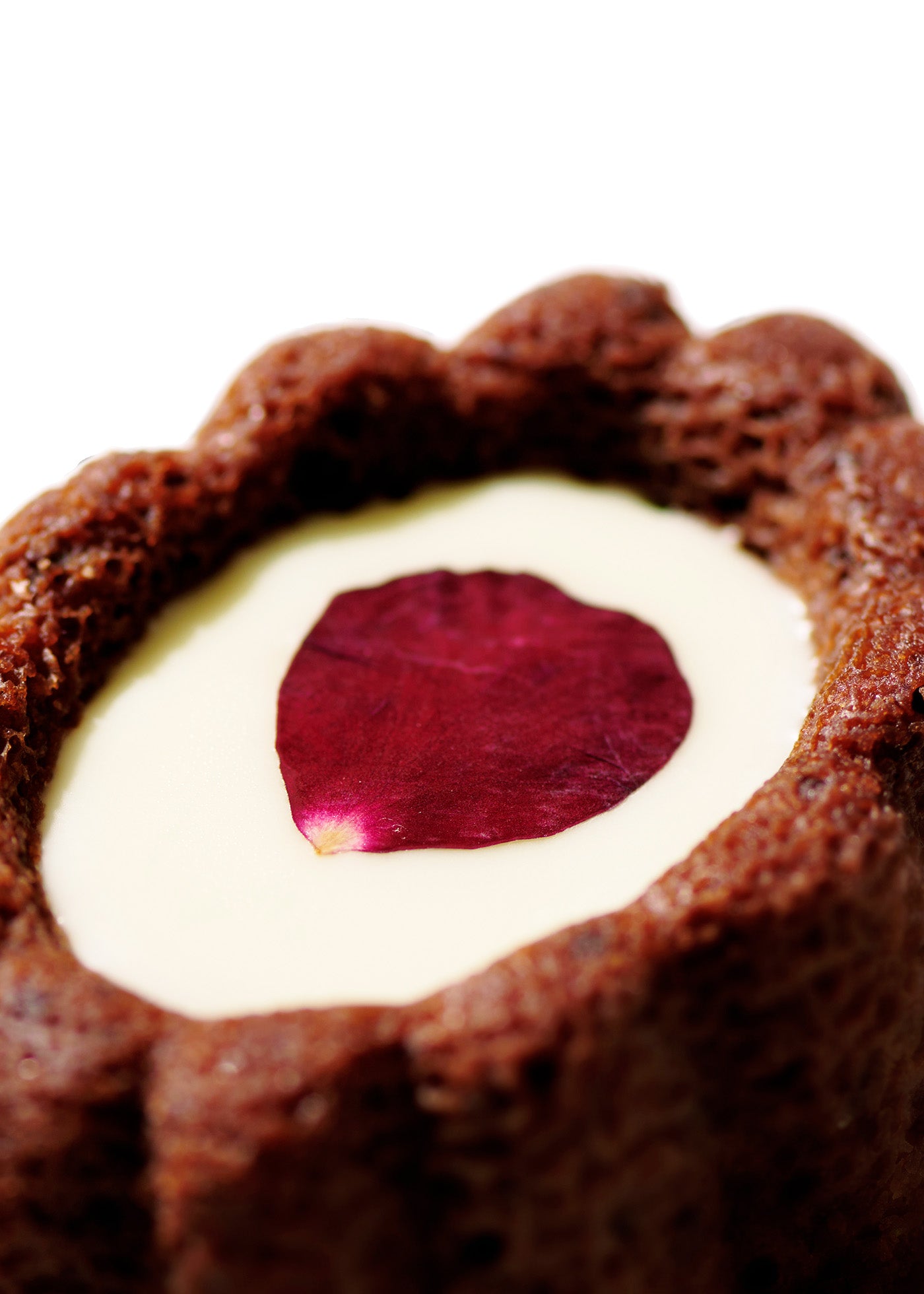 【4/1 10時発売】Blue Tea Time Set - Tigre & Cup and Saucer