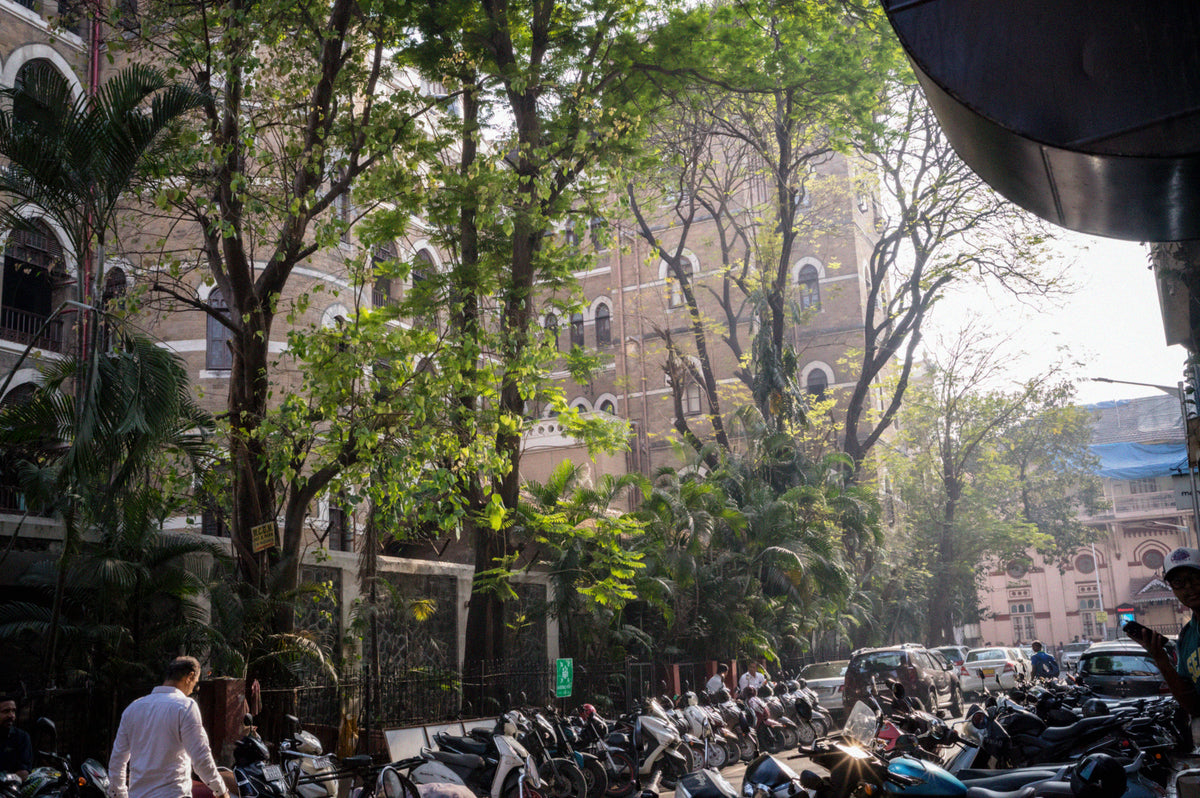 Colaba コラバ - 画像1