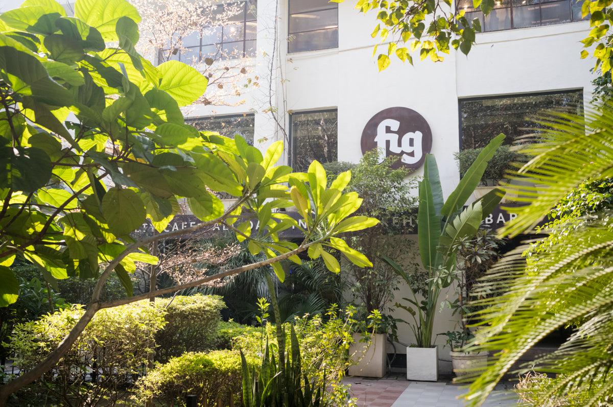 [FOOD]  Fig - 画像5