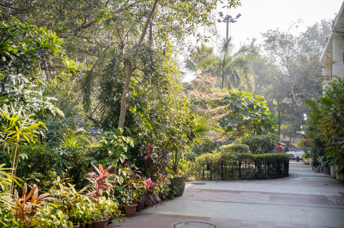 [SIGHTS]  Malcha Marg - 画像2