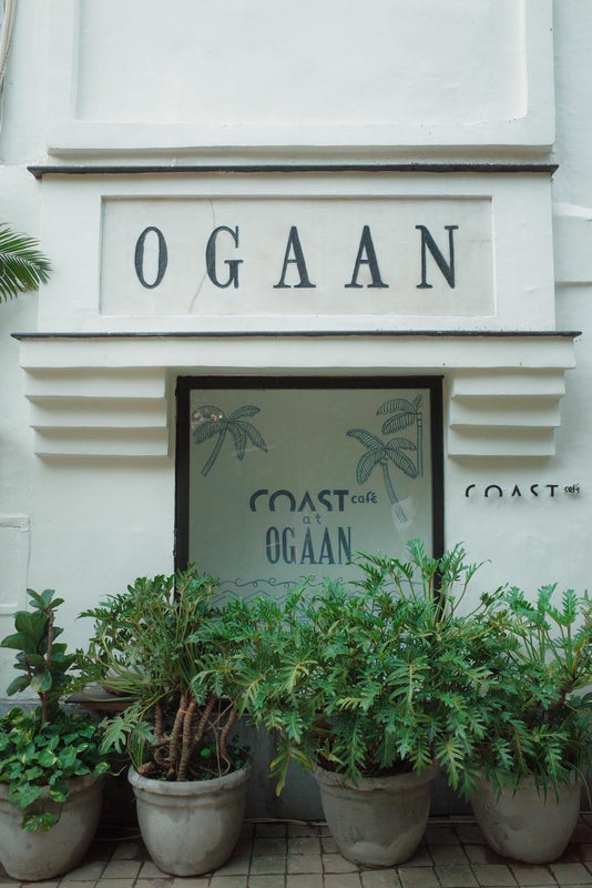 coast cafe - 画像1