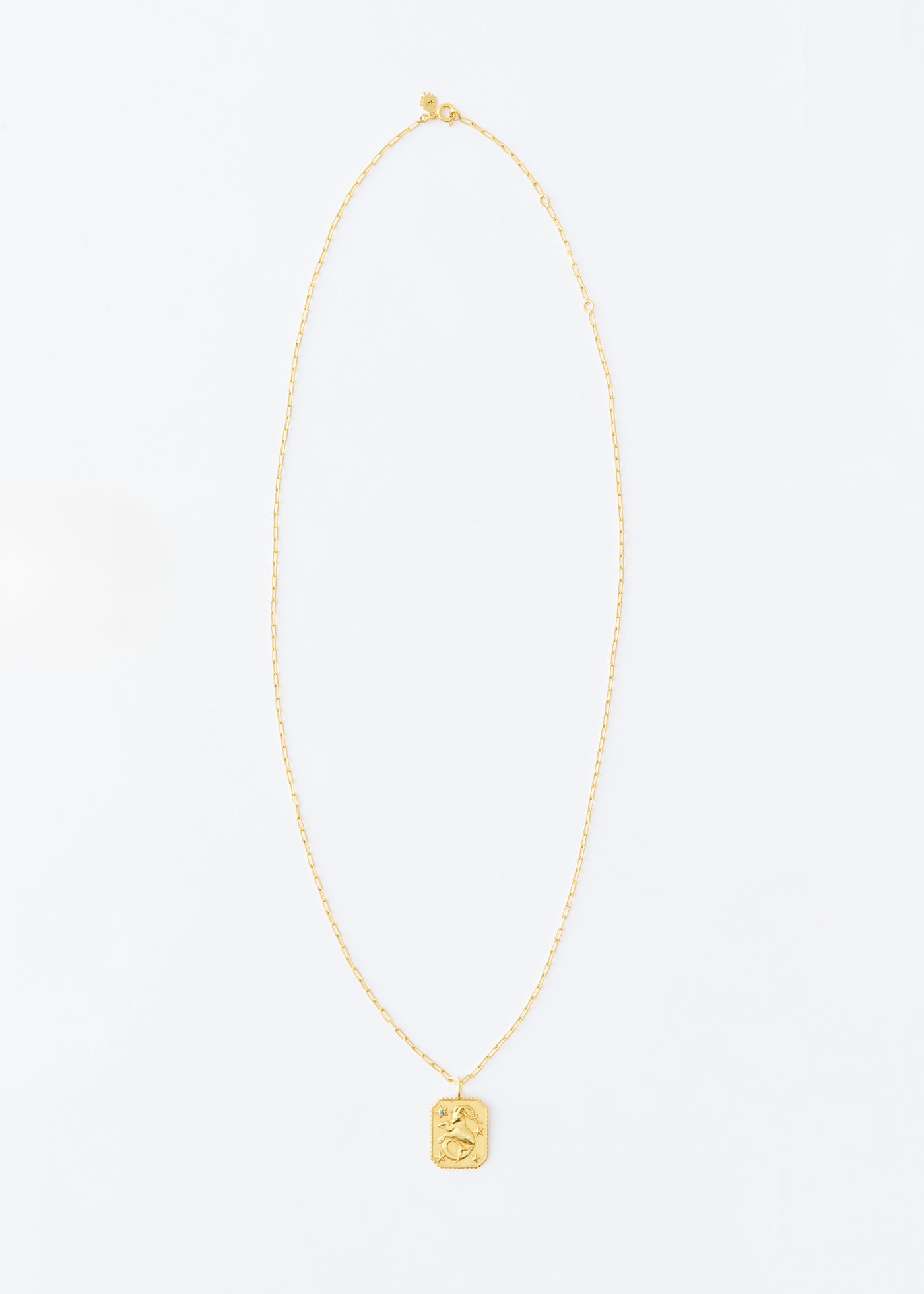 【12/10 10時発売】Astro Sign Plate Necklace CAPRICORN - 山羊座 -