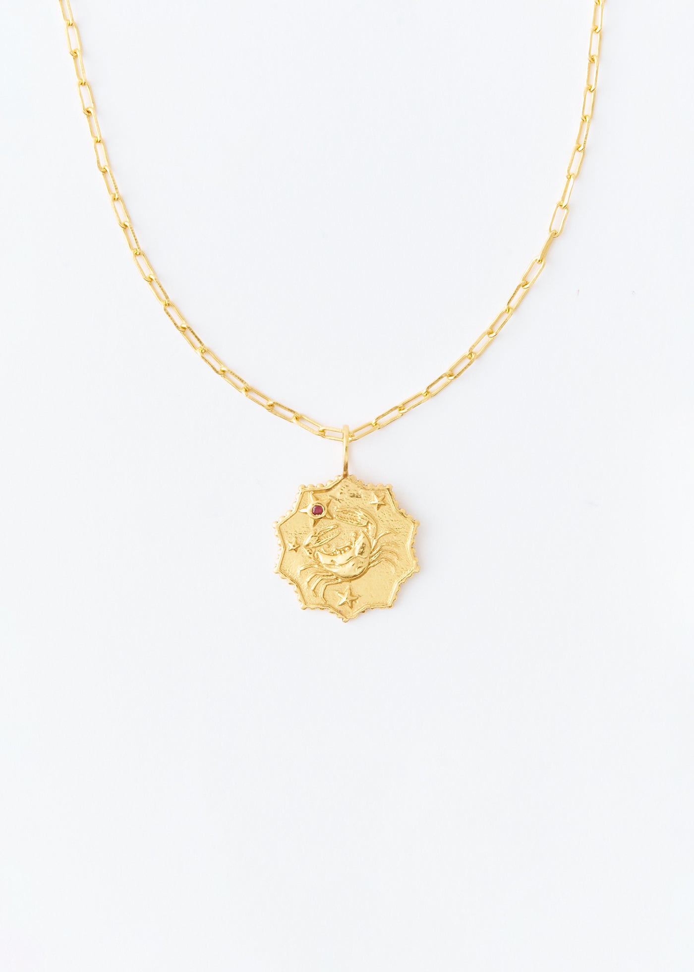 Astro Sign Plate Necklace CANCER - 蟹座 -