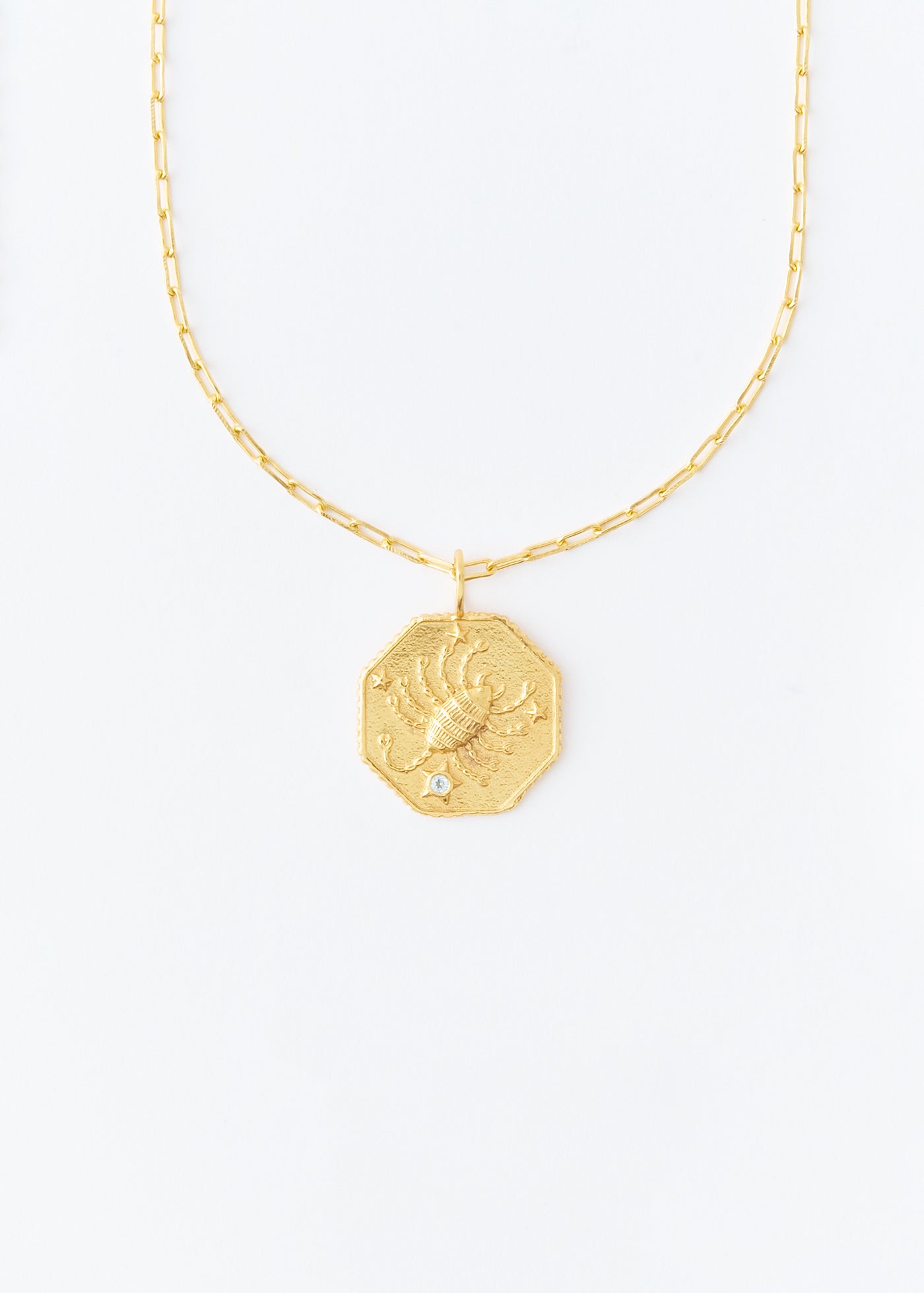 【12/10 10時発売】Astro Sign Plate Necklace SCORPIO - 蠍座 -