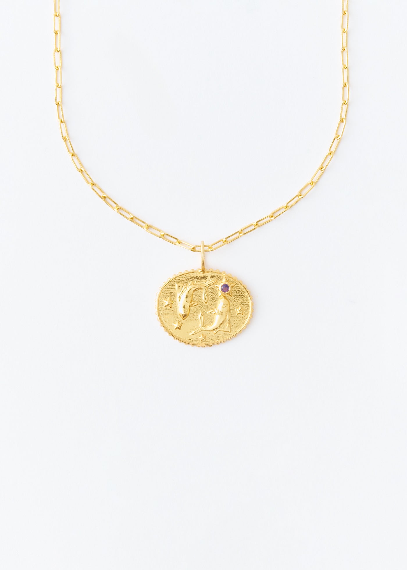 【12/10 10時発売】Astro Sign Plate Necklace PISCES - 魚座 -