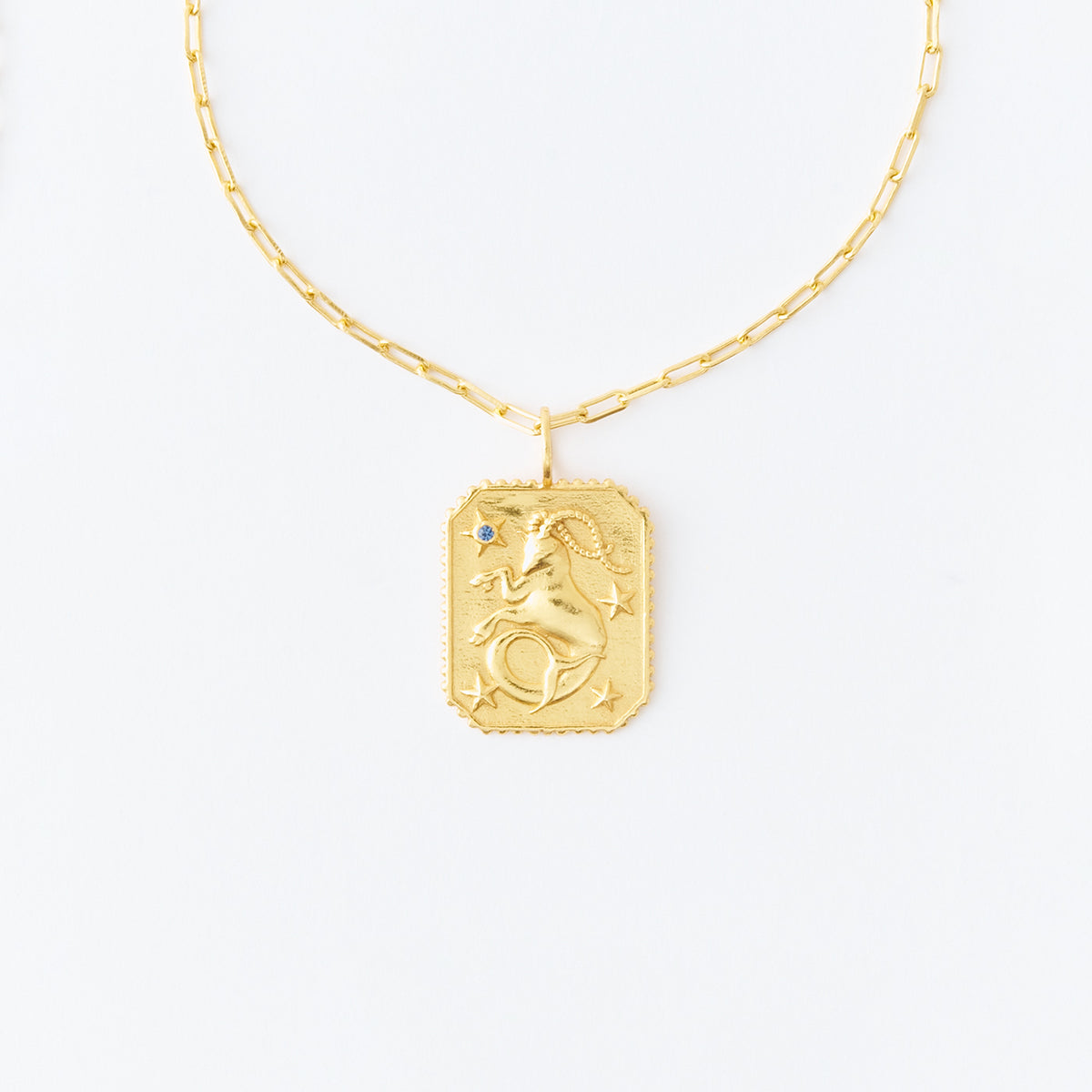 Astro Sign Plate Necklace CAPRICORN - 山羊座 - | Pasand by ne 